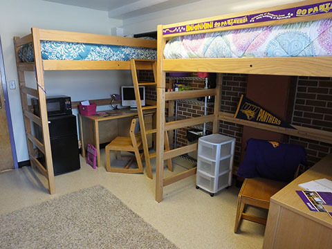 Dorm Room Must Haves: All the Essentials Any Incoming Freshman Needs