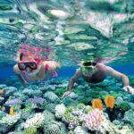 Best Snorkel Tour in Isla Mujeres