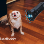 Why BarxBuddy Is My Favorite Dog Training Device in 2021