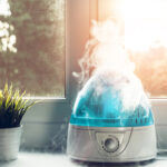 House humidifier - How to Use It Properly