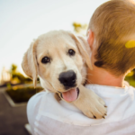 7 Things to Do Before You Bring a New Puppy Home