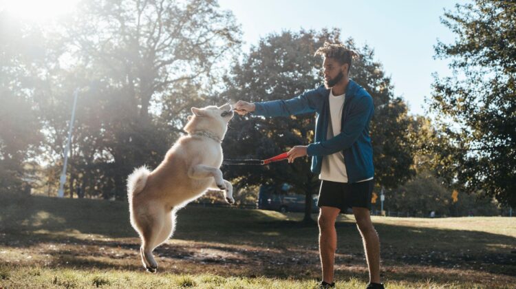 How Much Exercise to Give Your Dog